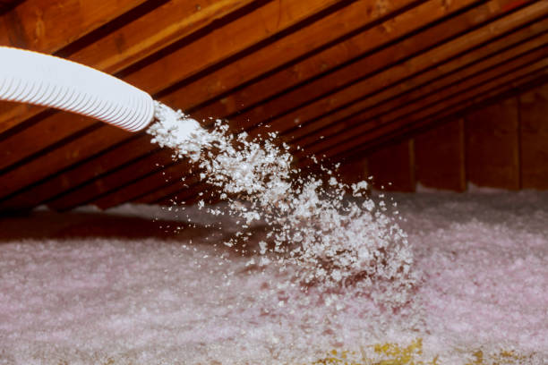 Best Spray Foam Insulation in Dudley, NC