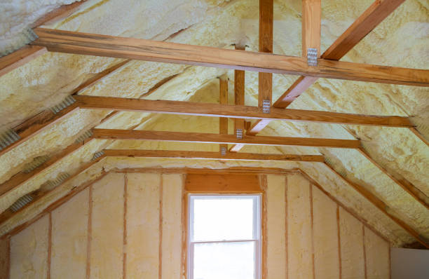 Best Insulation Maintenance and Repair in Dudley, NC