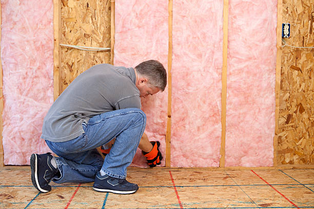 Types of Insulation We Offer in Dudley, NC