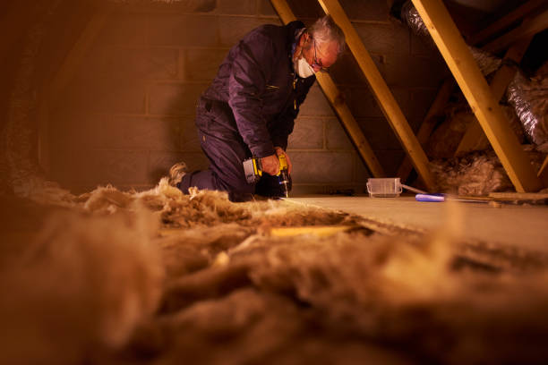 Best DIY Insulation Kits and Guidance in Dudley, NC
